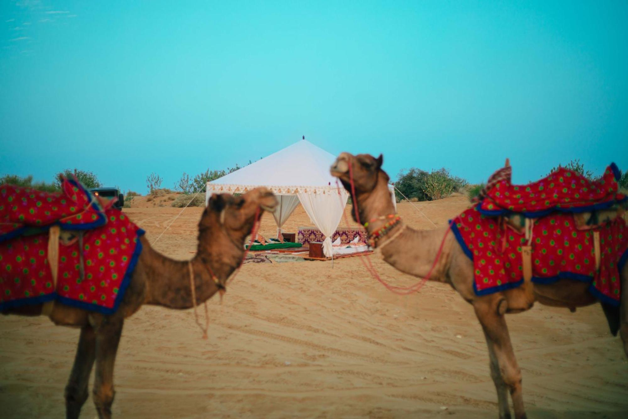 Marriott & 5* Jaisalmer